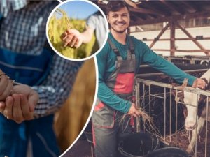 Uzman Eller Projeleri İçin Ek Süre İmkanı Getirildi