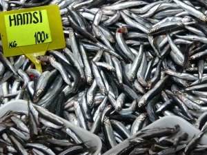 Yasakların Ardından İrileşen Hamsinin Kilosu 50 Liradan 100 Liraya Çıktı
