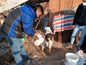 Iğdır’dan Deprem Bölgesine Giden Veteriner Hekimler Geri Döndü