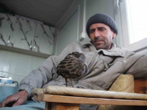 Limanda Hareketsiz Bulunan Çulluk Kuşuna Balıkçılar Sahip Çıktı