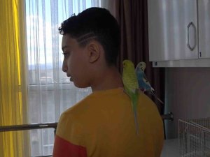 Enkazdan Annesiyle Kurtarılan Çocuk, Kuşlarını Ölüme Terk Etmedi: "Küçük Bir Canın Ölmesine İçim Razı Olmadı"