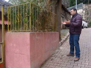 Evin Önündeki Gizemli Türbe Merak Uyandırıyor