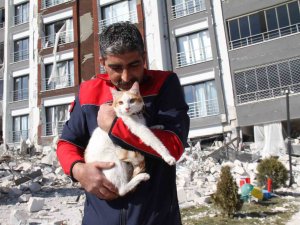Malatya’da Ağır Hasarlı Binada Mahsur Kalan Kedi Kurtarıldı