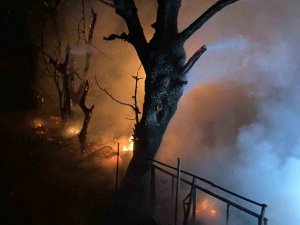 Hamitabat Köyü’nde Çıkan Yangın Korkuttu