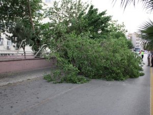 Meteoroloji’den Aydın’a Kuvvetli Rüzgar Ve Fırtına Uyarısı
