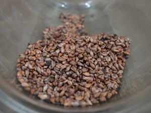 Üzüm Çekirdeği Deyip Geçmeyin