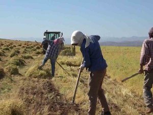Çiftçi Kayıt Sistemi Ürün Güncelleme Başvuru Tarihlerinde Süre Uzatıldı