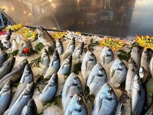 Havalar Isındı, Balık Fiyatları Düştü