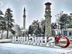 Türkiye’de Yaşayan Sungurluların Nüfusu 252 Bin 512 Oldu