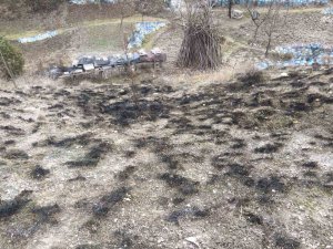 Kastamonu’da Çıkan Yangında Arı Kovanları Son Anda Kurtarıldı