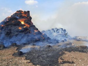 Amasya’da 90 Ton Saman Alev Alev Yandı