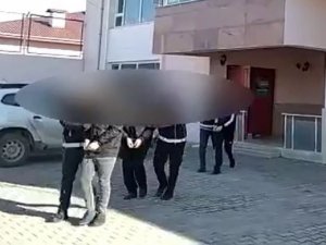 Van’da 7 Organizatör Tutuklandı