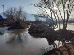 Nehirde Mahsur Kalan Köpek Kurtarıldı