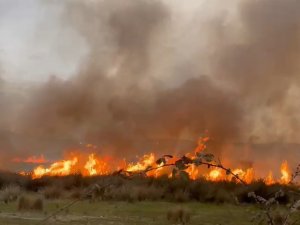 İ̇znik Gölü’nde Sazlık Alanda Korkutan Yangın