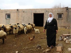 Mardin’in Tek Kadın Muhtarı Nebahat, Gelin Geldiği Köyü İki Dönemdir Yönetiyor