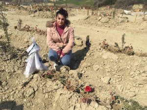 Depremde Hayatını Kaybeden Yeğeninin Mezarına Sünnetliğini Astı