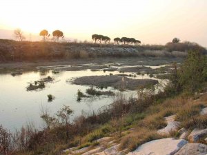 Beklenen Yağışlar Olmadı, Barajların Su Seviyesi Düştü
