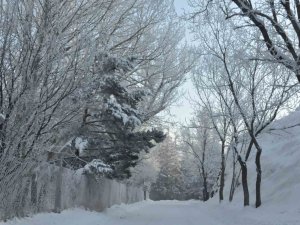 Bölgede En Düşük Hava Sıcaklığı Eksi 10 Olarak Kars’ta Ölçüldü
