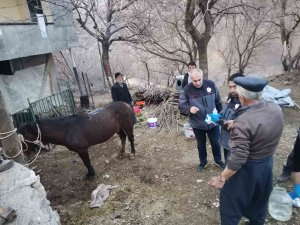 Enkazdan 21 Gün Sonra Canlı Çıkarıldı