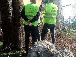 Denizli Ekipleri Hasar Tespiti İçin Deprem Bölgesinde