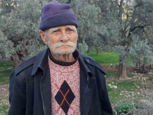Kendi Diktiği Zeytin Ağaçlarını Korumak İçin Başka Bahçesine Nakletmek İstedi, Başına Gelmeyene Kalmadı