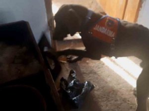 Patisiyle Sobayı Açan "Kaput" Uyuşturucuyu Buldu