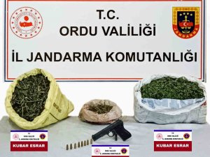 Ordu’da Uyuşturucu Ticareti Yapan 1 Kişi Tutuklandı