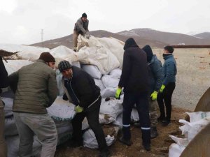 Ağrı’dan Deprem Bölgesine Mısır Silajları Gönderildi
