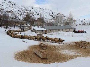 Besicilerin Kış Mesaisi Sürüyor