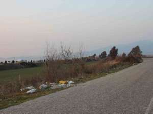 Gelişigüzel Çevreye Atılan Çöpler Doğayı Kirletiyor