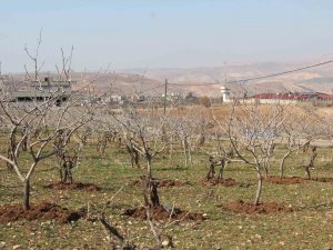Kuraklık Tedirgin Ediyor: Umutlar Mart Ve Nisan Yağmurlarına Kaldı