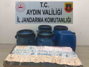 Aydın’da Zeytinyağı Hırsızları Jandarmaya Takıldı