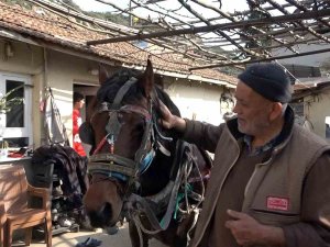 Depremde Yıkılan Ahırını Tamir Etmek İçin At Arabasıyla Kilometrelerce Yol Yapıyor