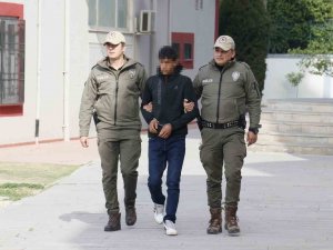 Polis, Ata İşkence Eden Gence At Arabasındaki Un Çuvalından Ulaştı