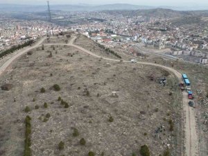 Kahveci Dağı’ndaki ’Nevşehir Kent Ormanı’ Yenileniyor
