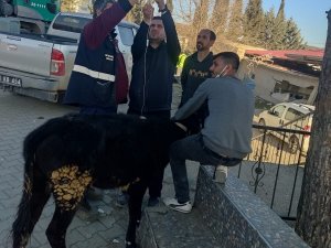 Hem Sahada Çalışıyor Hem De Yardım Ulaştırıyorlar