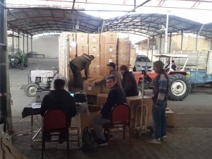 Sarıgöl’de Tütün Alımları Başladı