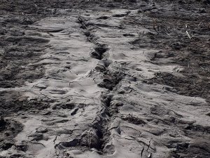 Depremle Yarılan Tarlalardan Yüzeye Su Çıktı