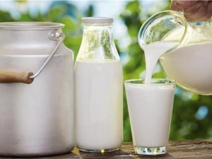 Çiğ Süt Desteği Ödemelerine Yönelik Esaslar Belli Oldu