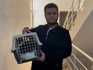 10 Bin Tl Ödülle Aradığı Kedisini, Rüyasına Girdiği Yerde Buldu