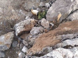 Deprem Sonrası Dağdan Kopan Dev Kaya Parçaları Tehlike Saçıyor