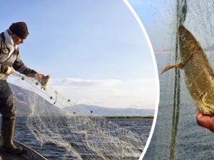 İ̇ç Sularda Balık Avı Yasağı Başladı