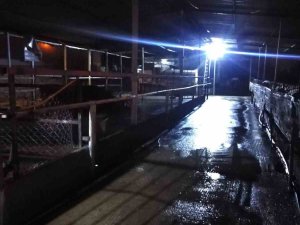 Çıkan Yangında Hayvanların Barınakları Ve Yiyecekleri Kül Oldu