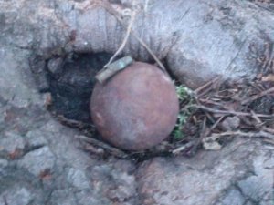 Ayvacık’ta Osmanlı Döneminden Kaldığı Değerlendirilen 2 El Bombası İmha Edildi