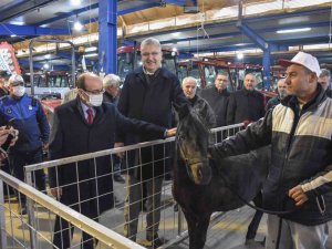 Karacabey’de Gıda, Tarım Ve Hayvancılık Fuarı Başlıyor