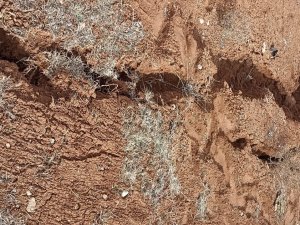 Kahramanmaraş’ta Deprem Devasa Göçük Oluşturdu