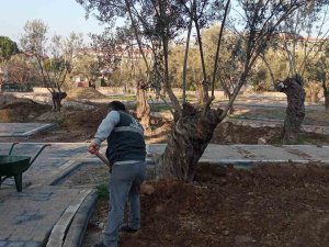 Yeni Parklarda Peyzaj Düzenlemeleri Devam Ediyor