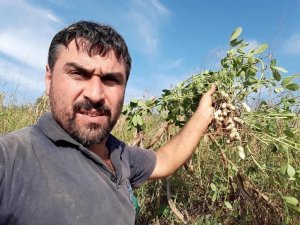 Bayram Günü Abisini Öldürmüştü, 24 Yıl Hapse Çarptırıldı