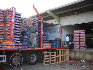 Yalova’daki Meyve Sebze Halinden 2 Ayda 5 Bin 177 Ton Ürün Çıkışı
