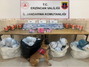 Erzincan’da 122 Şahıs Yakalandı